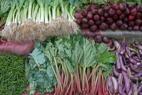 蔬菜的分類及其多樣性